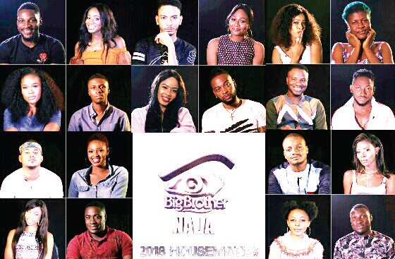 Big Brother Naija