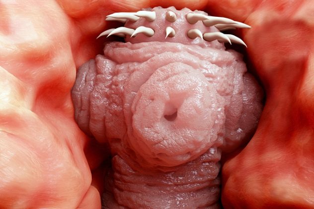 Parasites