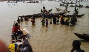 Kogi fishing
