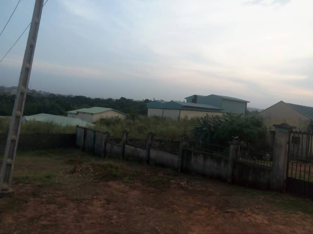 amawbia