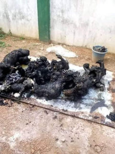 Ebonyi communal Crisis