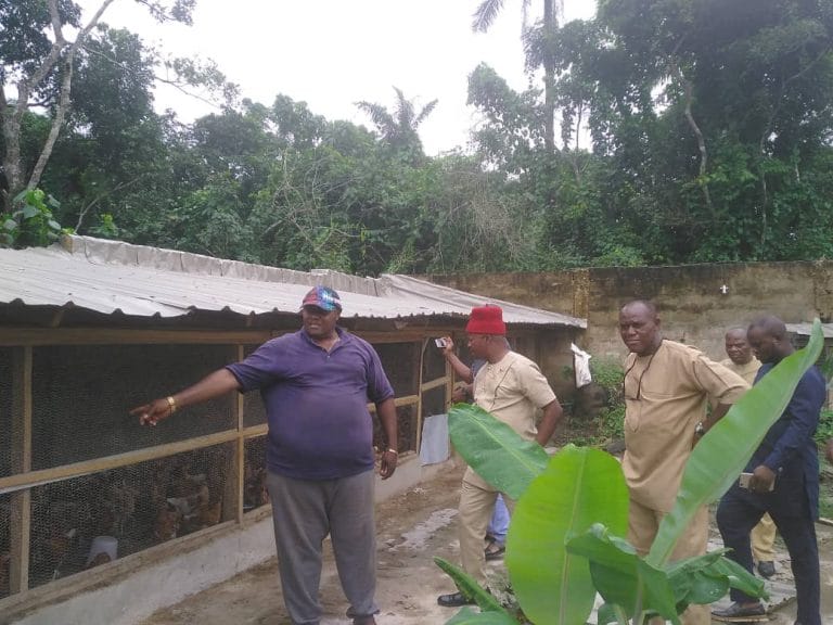 High Chief Walter Chigbo of Nkeonyemetalu farms Amaetiti showing new poultry intake to his guests