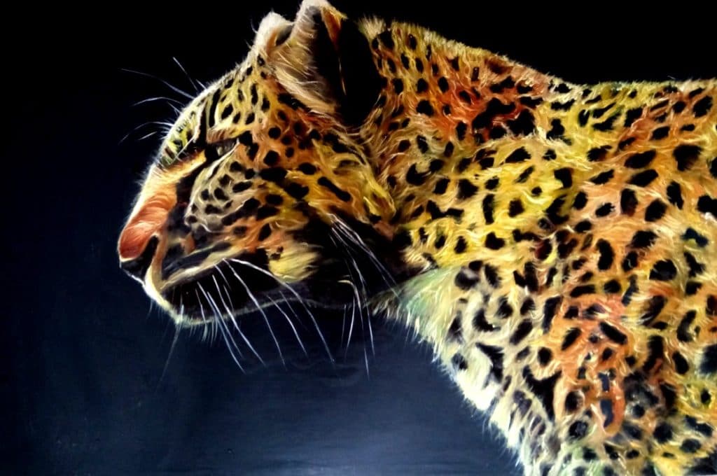 Paintings - Tiger