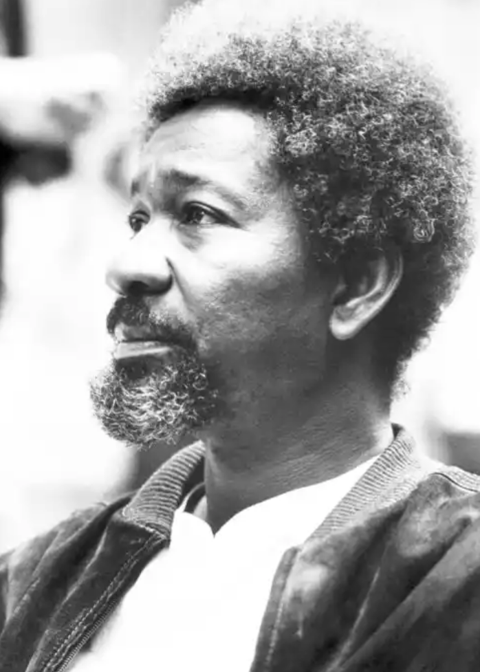 Water Bill: Nigeria Will Be Doomed If Water Bill Is Passed-Wale Soyinka.