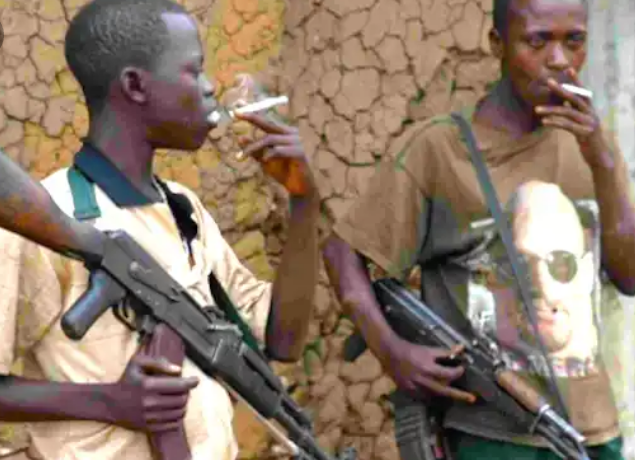 Fulani nomads janjaweed