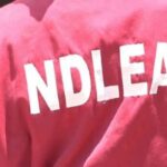 NDLEA Arrests Iran-Bound Woman Concealing Cocaine In Body, Bag At PH Airport