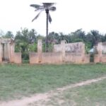 Snakes, Lizards Invade Benue Schools as Teachers, Pupils Abandon Classrooms