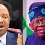 Shehu Sani Opposes Renaming of ICC After Tinubu