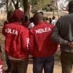 NDLEA Dismantles Drug Joints in Kano, Arrests 17 Suspects