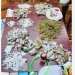 Police Raid Drug Den in Anambra, Arrest Six Suspects