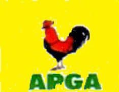 IMG-20260328-WA0009