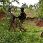 Troops arrest suspected foreign terrorist in Borno