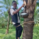 PALMWINE ROUND TABLE: A NEW PLATFORM FOR FRANK, FEARLESS AND UNFILTERED CONVERSATIONS ABOUT SOCIETY