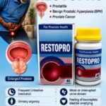 PROSTATE HEALTH: UNDERSTANDING SYMPTOMS, DIAGNOSIS AND TREATMENT A Public Health Awareness Concern